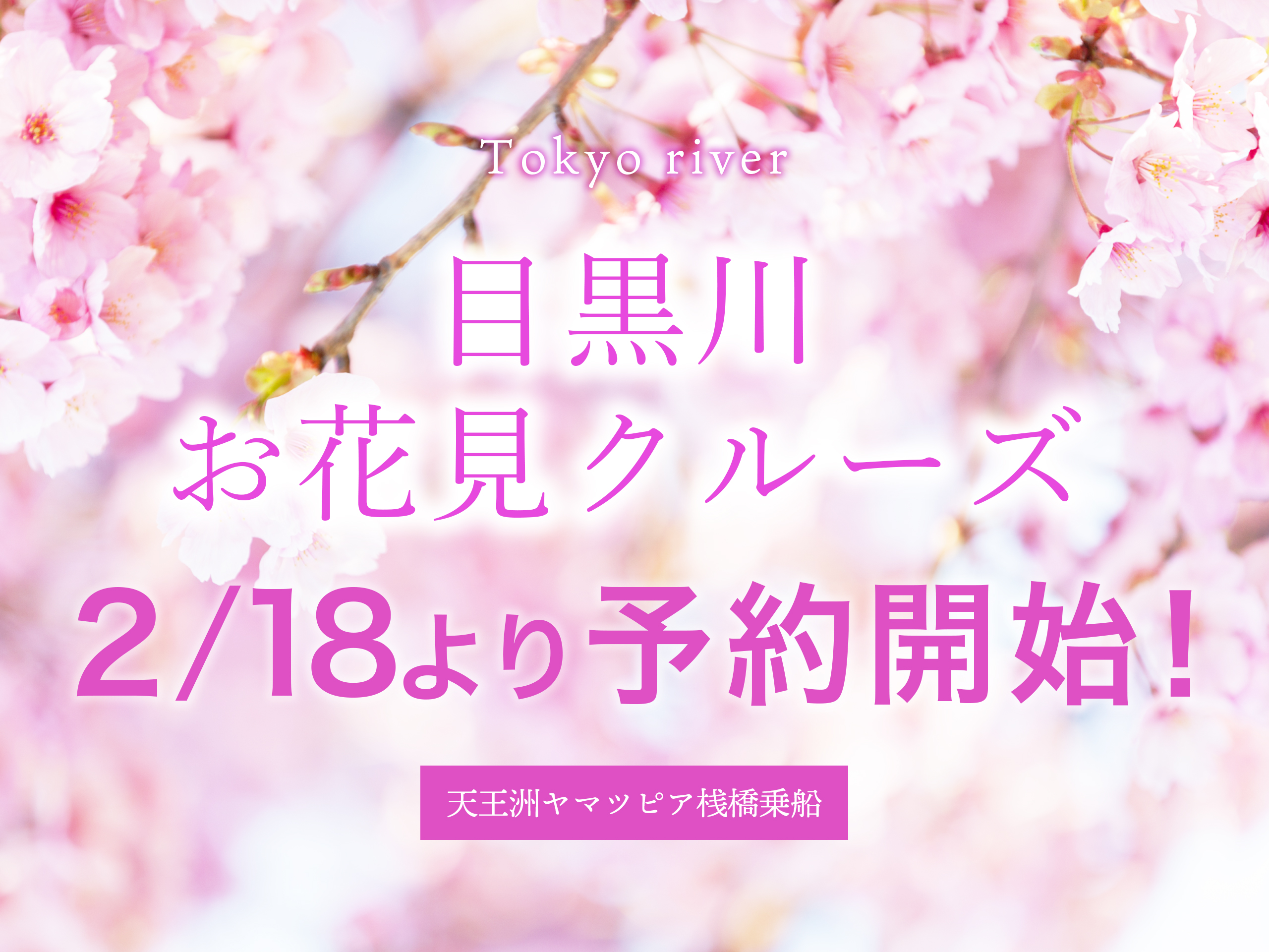 ZEALクルージング　目黒川 お花見クルーズ　まもなく予約開始